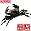mamota 文鎮 蟹 置物 カニ 風水 伝統工芸 金運 茶道具 真鍮 置物 民芸品 繊細 細密 彫刻 車内 招福 商売繁盛 筆置き インテリア