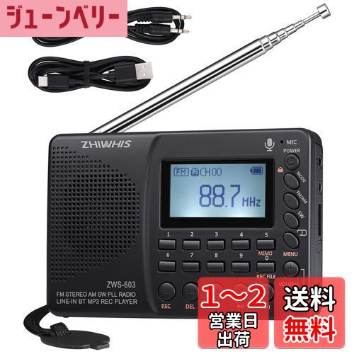 ZHIWHIS 饸 쥳 Bluetooth MP3ץ졼䡼 FM/AM/SW/磻FMб ݡ֥¿ǽ USB-C...