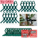 園芸クリップ 支柱クリップ 誘引クリップ 植物クリップ 植物 固定 クリップ 園芸用支柱クリップ 繰り返し使える 農業用 結束バンド 植物サポート 接木トマトナ...