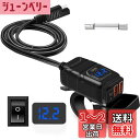 バイクUSB電源 バイク用 USB 防水 急速充電 【2USBポート出力 電源スイッチ 電圧計】SAE ニューズ 多重保護 DC12V-24V バイク 大型バイク 車に offeree スマホ タブレット ナビ対応 電源アダプター レッド 日本語取扱説明書 (ブルー)