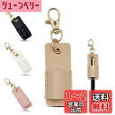 BaraRose ペンホルダー ストラップ ペンホルダー 首掛け プペンホルダー メタルクリップ付き PUレザー 紛失防止ペンスト 利用空間アップ ペン収納 ペン立て 筆差し 鉛筆 ボールペンに対応 多機能ペン挿入アクセサリー 省スペース メガネ小物 整理収納 持ち運びが簡単でビ