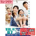 オーム(OHM) 電機 100ミクロンラミネーターフィルム20枚 L判 LAM-FL203