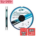 ダイワ(DAIWA) フロロライン エメラルダスリーダー 2号 35m ナチュラルグリーン