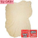 【送料無料】Takelablaze セーム革 大判タイプ 約60cmx90cm