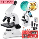 新しい顕微鏡、2000倍 粗/微調整 金属製の強力な光学生物実体顕微鏡 子供 小学生 大人初心者の学習用 日本語説明書付き
