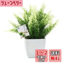 TOSSOW 人工観葉植物 造花 フェイクグリーン フェイク観葉植物 四方鉢 インテリア プレゼント 浅緑葉