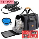 Morpilot ペットキャリー バッグ 4way ショルダー 中・大型猫・小型犬・うさぎ用 リュック 折りたたみ 変形しない 通気性 臭気がない 引っ掻き傷に強い 車載/ドライブ/キャンピング/旅行/通院/災害避難用 ペットバッグ (マット/飛び出し防止リード/猫食器付き) Mサイズ