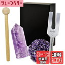クリスタルチューナー 4096Hz 音叉 天然水晶 浄化用 5点セット リラックス 日本語説明書付 アメジスト WH26 - Purple