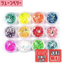 YFFSFDC クラッシュ ホログラム 12色セット ネオンフレーク 素材 手芸 レジン 封入 パーツ ネイルアート ラメフィルム