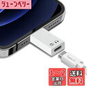 Beraypoo タイプC 変換アダプタ iPhone/iPadに適用 安全充電 データ伝送 USB-C (メス) - iOS (オス) Type-Cジャック接続 変換コネクター OTG機能搭載 出力 データ転送可能 (ホワイト)