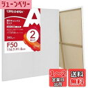 AUREUO 張りキャンバス セット F50 (116.7cmX91cm) 中目 100%コットン 2枚 初心者 絵画用具 芸術絵創作 現代油絵 美術装飾 水彩...
