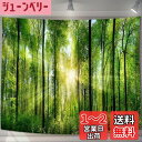 U-SITU タペストリー 壁掛け 壁飾り 森 朝日 林間 自然景色 オシャレ 背景 多機能 布ポスター インテリア 雰囲気転換(サイズ:長さ75cm x 幅1...