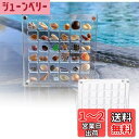 siawadeky 貝殻 ディスプレイ ボックス 2個セット 全透明 マグネット式 ミニ貝殻ボックス 防水 防塵 アクリル製 シェル収納ケース 巻貝 ヒトデ ネイル ビーズ 小物入れ 磁気ケース 自宅 オフィス 店舗 卓上用 蓋付き 36グリッド (透明 2個)