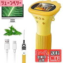 子供用顕微鏡、SKYBASIC 2インチ IPSスクリーン 1000倍 ハンドヘルドデジタルマイクロスコープ HDポケットポータブルミニUSB顕微鏡カメラ PC対応 科学教育 楽しい誕生日プレゼント 子供 学生向け-オレンジ
