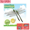 QINGLUAN オニヤンマ君 虫除け トンボモデル 16cm リアル 鬼やんま君 蜂よけ 玄関 バルコニー ハイキング キャンプ 登山 釣り ゴルフ インテリ...