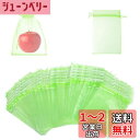 【送料無料】【BEAUTY PLAYER】果樹袋 果物保護バッグ 果実袋 防虫 ネット 家庭菜園 防鳥ネット 害虫鳥避け 通気性 光通過 メッシュバッグ 園芸工具 桃 イチゴ ミニメロン いちじく ぶどう用 農業用 巾着袋 (グリーン, 50, 15cm×20cm)