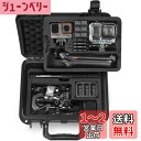 【送料無料】Lekufee Insta360 Ace Pro 2防水ハードケース Insta360 Ace Pro/Insta360 Ace アクションカメラ、Vlogging カメラ、ライブストリーミング、アクセサリーに対応 (ケースのみ)