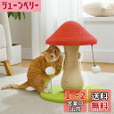【送料無料】PAWZ Road キャットタワー ミニ 階段 猫 爪研ぎ キノコ 縦型 据え置き 全面麻紐 爪研ぎポール タマゴタケ しめじ 省スペース コンパクト 天然サイザル麻 おもちゃ ガリガリ おしゃれ 組立簡単 運動不足解消 高さ47cm 赤