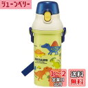 スケーター(Skater) 水筒 ディノサウルス ピクチャー 480ml 子供用 男の子 抗菌 プラスチック製 日本製 PSB5SANAG-A