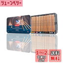 【送料無料】【国内正規品】ダーウェント 色鉛筆 ライトファスト メタルケース 36色 セット 2302721 耐光性100% オイルベース