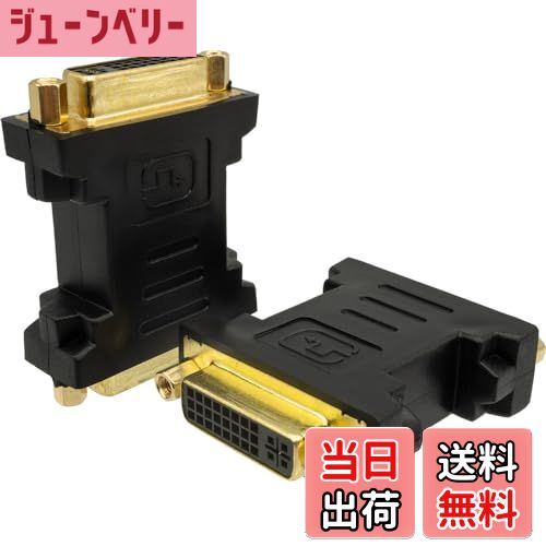 【送料無料】エスエスエーサービス DVI変換コネクタ