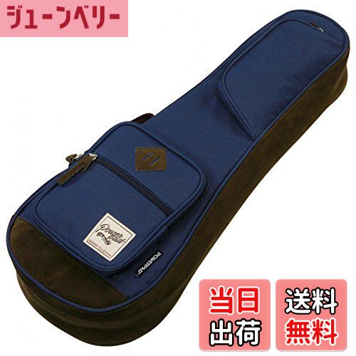 【送料無料】Ibanez 