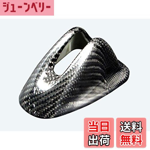 【送料無料】BRIGHTZ デイズ リアルカーボンアンテナカバー