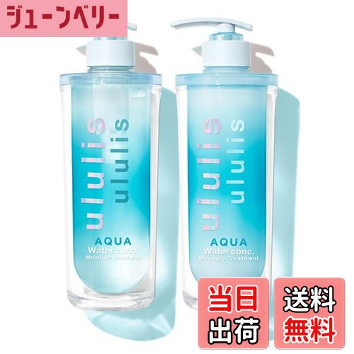 【送料無料】ululis ウルリス シャンフートリートメントセット