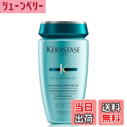 【送料無料】バン ド フォルス N 色：ブルー、サイズ：250mL