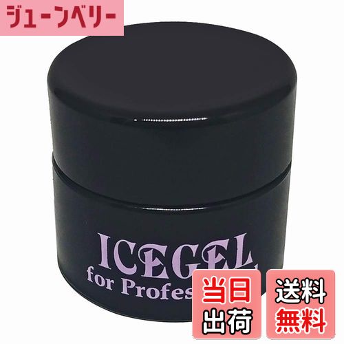【送料無料】ICE GEL(アイスジェル) ICE GEL カラージェル ABLACK ダルメシアンジェル 1171 3g ジェル..