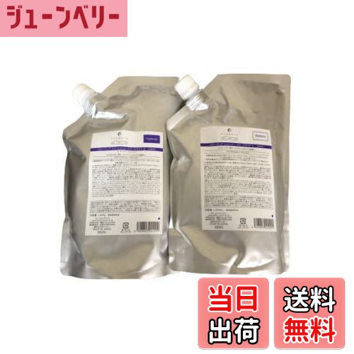 【送料無料】フローディア スリークライト シャンプー＆トリートメント リニューアル品 詰め替え用（1000g） サイズ：2個アソート