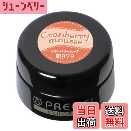 【送料無料】PRE GEL カラーEX クランベリームース 3g PG-CE979 色：オレンジ、サイズ：3g