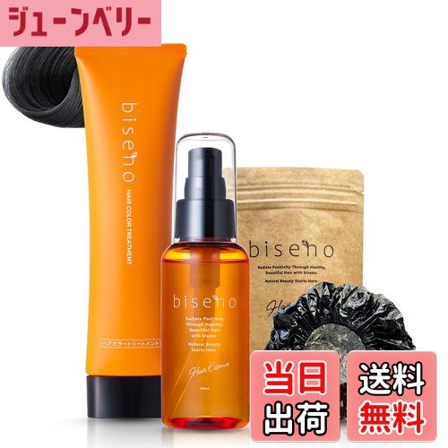 【送料無料】biseno 白髪ケア しっかり染めて きれい続く 3点セット ヘアカラートリートメント ヘアエ..
