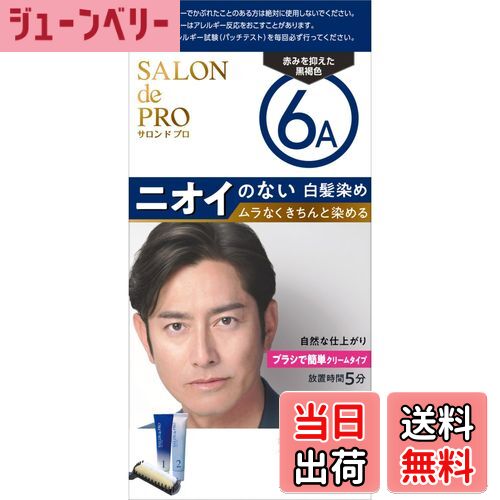 【送料無料】サロンドプロ無香料ヘアカラーメンズスピーディ（白髪用） 色：6A 赤みを抑えた黒褐色