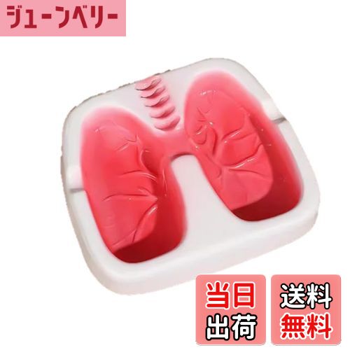 【送料無料】speed maoおもしろい 人間 肺型 灰皿 アッシュトレイ 色：ホワイト