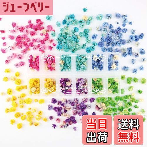 【送料無料】Princess-style かすみ草 ドライフラワー 花頭 咲いた花 ネイル レジン 封入 素材 材料 花..