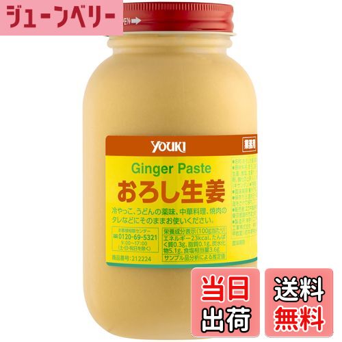 【送料無料】ユウキ おろし生姜 サイズ：900グラム (x 1)