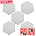 【送料無料】楽Meister ミニキャンバス 張りキャンバス 六角形 5枚セット (20cm) 画材 アクリル画 水彩画 油絵 油彩