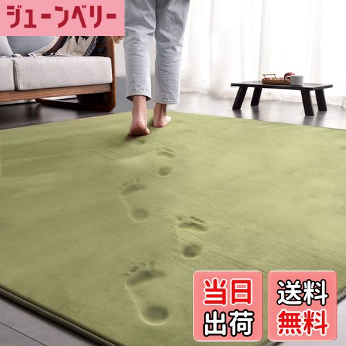 【送料無料】ラグ カーペット 低反発 ラグマット 3畳 厚手15mm 190x240cm 滑り止め付 洗える 防音 床暖房 ホットカーペット対応 防ダニ 抗菌 フランネル ウレタン 厚い じゅうたん 無地・グリーン AICOMRI