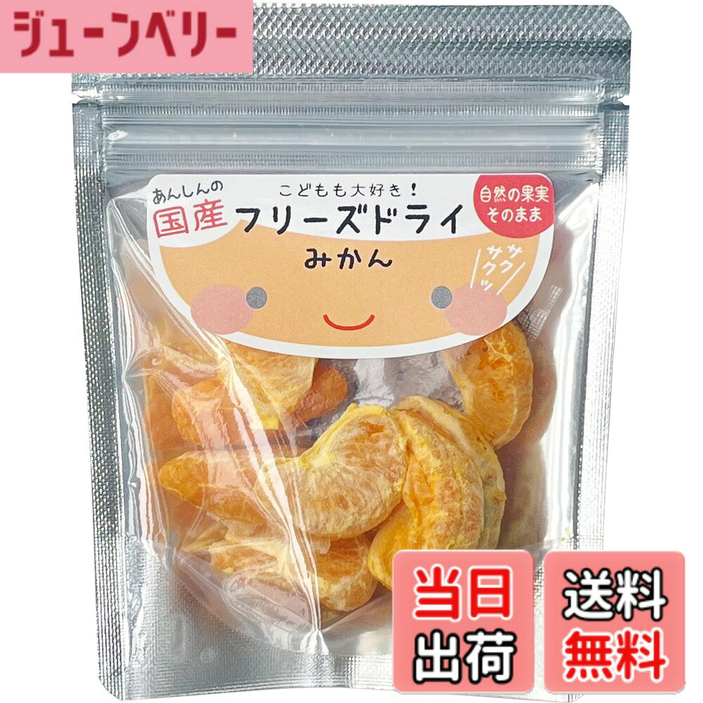 【送料無料】げんき本舗 こどもも大好き! フリーズドライ(みかん)