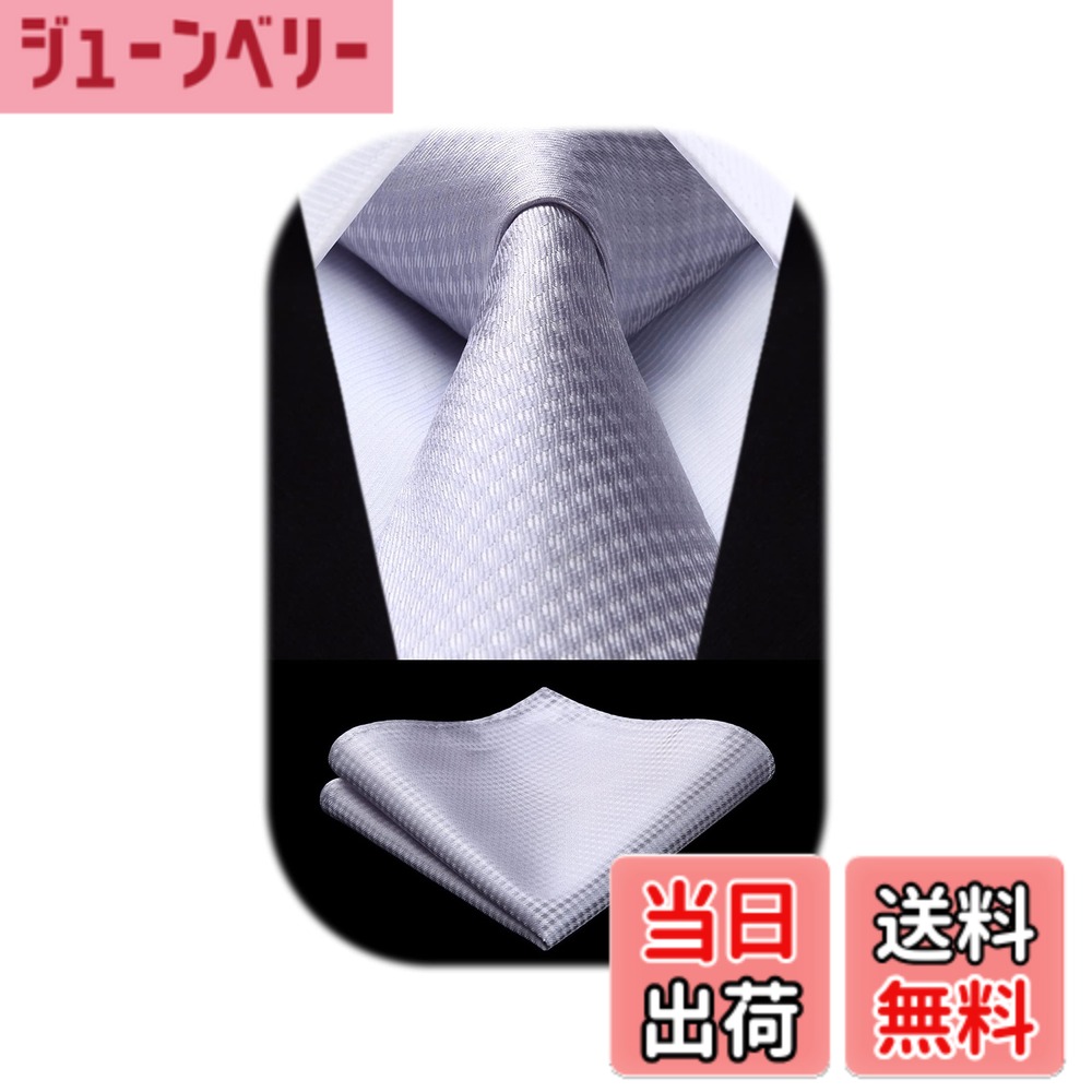 【送料無料】[HISDERN] フォーマル シルバー ネクタイ チーフ セット メンズ 結婚式 柄 シルク ブランド 紳士 礼服用 ビジネス 入学式 卒業式 プレゼント 高級HC-01
