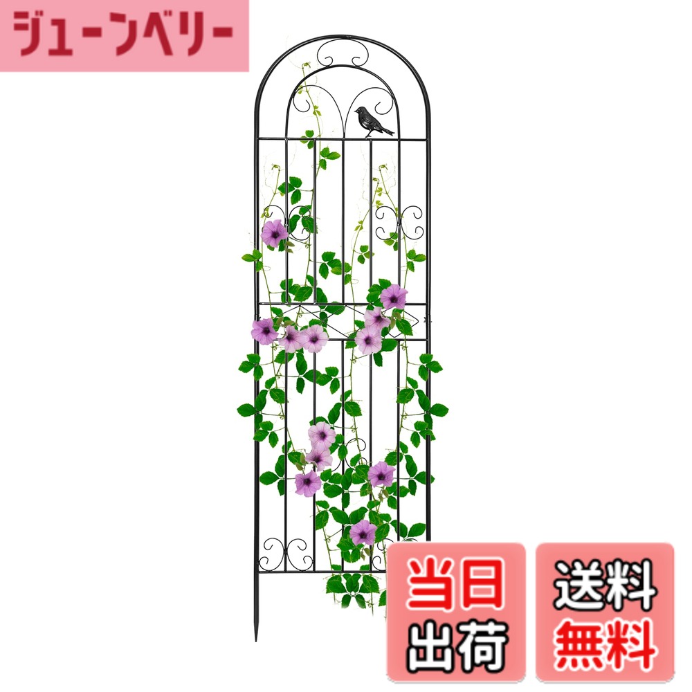 商品情報 商品の説明 主な仕様 1.籐の植物が暖かい中庭を作るためのサポートとして使用できます。(写真のクリスマス飾りは付属しておりません)br2.自由に組み合わせてお庭をカスタマイズデコレーションとして花壇の仕切りとして、玄関アプローチの飾りとして、使い方は色々です。底のひし形のデザインは、土に挿入するのも簡単で、小さな犬が庭に土を掘るのを防ぐことができます。br3.?高品質?で作られ、錆びにくく、耐久性があります。しっかりと安定した、素晴らしい仕上がりです。 ネジなど面倒な工具が不要で。br4.庭の植物や花を保護します。庭、トレイル、景観の境界線を定義して保護します。br5.花を育てるのが好きな人は皆、人生が大好きです。私もです。 # 【送料無料】Rxakudedo アイアンフェンス 園芸 フェンス ガーデンフェンス ハイタイプ 高さ180cm ローズフェンス 蔓性植物用支柱 フェンス 庭に植物を育てたいけれど、どうしても支えが必要だったり、デザインにこだわりたいと思ったことはありませんか？そんなお悩みを解消するのが、Rxakudedoのアイアンフェンスです。このフェンスは、ただの支柱としてだけでなく、庭全体を美しく飾るためのデザイン性も兼ね備えています。高低差や形状を設けて、より良い景観を演出することができます。あなたの庭も、心地よい空間に変わるかもしれません。 このアイアンフェンスは、強度と耐久性に優れており、見た目にもおしゃれです。設置が簡単で、どんな庭にもマッチするデザインが特徴です。特に、蔓性植物の支柱として最適で、花や緑を美しく見せます。これによって、あなたのガーデニングがもっと楽しくなるでしょう。 手間が少なく、生活に安心感を与えるこのアイアンフェンスは、あなたのガーデンライフを豊かにする一品です。私たちの製品で、あなたの庭を理想の姿に変えてみませんか？ ## アイアンフェンスの特徴と魅力 Rxakudedo アイアンフェンスの最大の特徴は、180cmの高めの設計です。この高さは、蔓性の植物や茂みがしっかり支えられるため、特に効果的です。経年劣化にも強く、長期間にわたって使用できるため、お金の無駄もありません。耐久性や防錆性にも優れており、手入れも簡単です。汚れがついたら、さっと拭くだけでOKです。 また、デザイン性も秀逸です。シンプルながらもエレガントな印象を持ち、多くの飾り物とも相性が良いです。庭のアクセントとして使うことで、視覚的に楽しむことができます。特に、花壇やアプローチ、ガーデンルームの仕切りなど、さまざまなシーンで活躍します。 さらに、アイアンフェンスは風を通しやすくする仕様なので、植物に必要な日光や風が通ります。これにより、植物も生き生きと育つことができ、ガーデニングがより楽しくなるでしょう。おしゃれなだけでなく、機能性と美しさを兼ね備えたフェンスが、あなたを待っています。 このアイアンフェンスを使うことで、あなたの庭が一層魅力的に変わります。育てたい植物があれば、ぜひ一緒に考えてみてください。思い描く理想のガーデンライフが、さらに現実味を帯びてきますよ。 ## 設置方法とそのポイント Rxakudedo アイアンフェンスの設置方法は非常にシンプルです。まず、設置したい場所を決めたら、地面を少し掘って穴を開けます。このフェンスの底は、ひし形のデザインになっているので、直接土に挿入が可能です。穴を開けることで、安定性が向上し、風などによる倒壊を防ぐことができます。 次に、フェンスを設置した後は、周囲を土でしっかりと埋めます。このとき、フェンスが水平になるように確認することが大切です。水平になっていないと、見た目が悪くなるだけでなく、植物にも悪影響を及ぼすことがあります。 設置後は、必要であれば周囲にデコレーションを施すことも可能です。小さなプランターや飾りを配置することで、より個性的な庭に仕上げることができます。また、フェンスの周りには、土を盛ることで植物の根がしっかり伸びるようにすることも重要です。 この設置方法は、特別な工具を使わずに簡単にできるのが嬉しいポイントです。多忙な方でも、手軽に導入できる仕様が魅力です。自宅の庭を素敵にするために、ぜひ一度お試しいただきたいです。使い方次第で無限の可能性がありますので、ぜひご自身のアイデアを生かしてみてください。 ## 使用上の注意とお手入れ方法 Rxakudedo アイアンフェンスは耐久性が高いものの、長く美しさを保つためにはお手入れが必要です。まず、定期的に塗装剥がれや錆をチェックしましょう。特に、湿気の多い季節や雨が続く時は、注意が必要です。何か異常を感じたら、すぐに修理や手入れを行うことで、寿命を延ばすことができます。 また、植物が成長してきたら、こまめに剪定を行うことが大切です。特に、茂みやつるが絡まりやすい植物は、放置するとフェンスへのダメージも懸念されるため、注意が必要です。定期的に形を整えることで、見た目も良くなり、植物が元気に育ちます。 さらに、周囲の草や不要な植物も時折取り除いて、美しい見た目を保つことが重要です。フェンス周辺が雑草で埋もれにくいようにすることで、全体的に整った印象となります。 お手入れをする際は、必要があればペンキで塗り替えることも考えましょう。特に、色褪せてしまった場合は、ワンランク上の印象を手に入れることができます。 しっかりとお手入れを行えば、長持ちさせることができ、あなたの庭の見栄えも良くなるでしょう。手間をかけることで、きっと美しいガーデンライフを楽しむことができますよ。 ## まとめ - Rxakudedoのアイアンフェンスは、高さ180cmで安定感抜群。 - デザイン性が高く、様々なシーンで活用できる。 - 設置が簡単で、特別な道具がいらないので、初心者にも最適。 - 定期的なお手入れで、長持ちさせることができる。 - あなたのガーデンライフがより豊かになること間違いなし。 あなたの庭を彩る一品、ぜひ手に取ってみてください！