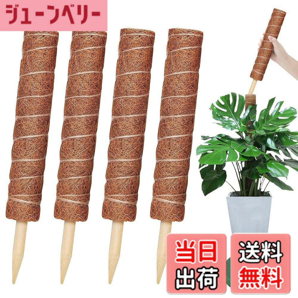 商品情報 商品の説明 主な仕様 【適用範囲】屋内外の様々な植物、特につる植物に適しています。 たとえば、モンステラ、ポトス、ランなど。植物が直立して成長することを助けて、つるが水平に広がるのを防ぎます。br【高品質素材】植物支柱は100％天然のココナッツ繊維でできており、優れた疎水性を確保し、植物に優れた登りプラットフォームを提供します。 丈夫で耐久性があり、長時間使用できます。br【使いやすい】植物支柱の下の部分は、土に差し込みやすく、植物の根系を傷つけない木製の先端で設計されています。 麻縄を使用すると、植物サポートの周りに植物を固定することができます。br【中空のデザイン採用】園芸柱の中空部を通して、植物が成長するにつれて、柱の高さは簡単に重ね合わされます、植物に根まで水をやります。br【園芸支柱セット】40cm園芸支柱4つ、2 mのマジックテープ。 # 【送料無料】YOUSHY4個40cm園芸支柱 観葉植物モンステラ 支柱 ヘゴ支柱 植物を育てる際に、特につる性の観葉植物にとって、適切な支えが大変重要です。モンステラやポトスなど、成長過程でどうしても倒れたり、曲がったりしてしまうことがありますよね。そのような悩みに共感する方も多いのではないでしょうか。YOUSHYの園芸支柱は、そんなお悩みを解消するために設計されており、安心して植物を成長させるための強力なサポートを提供します。これにより、植物が瑞々しく健やかに成長し、お庭や室内を華やかに彩ります。さらに、天然素材で作られており、長持ちする設計ですので、安心してお使いいただける商品です。あなたのガーデニング生活をより楽しく、充実させるために、ぜひYOUSHYの園芸支柱をお選びください。 ## YOUSHY園芸支柱の特長 YOUSHYの園芸支柱は、100％天然のココナッツ繊維で製造されており、植物に優しい設計がされています。そのため、植物がしっかりと根を張り、直立して成長するのを助けることが可能です。特に、モンステラやポトスなどのつる性植物には最適なアイテムです。これらの植物は成長と共につるが広がるため、支えが必要不可欠です。 また、支柱の下部には木製のポイントが使われています。これにより、土に差し込みやすく、植物の根系を傷つける心配がありません。これまで支柱を使った際に、根を傷めてしまった経験がある方には特にお勧めです。 さらに、YOUSHYの支柱は中空デザインを採用しており、植物が成長するにつれて、支柱の高さを重ねることが容易です。これにより、水やりも簡単になり、植物全体にしっかりと水分を行き渡らせることが可能です。 そして、セット内容としては4個の40cm園芸支柱と、2mのマジックテープが含まれており、様々な植物に対応できます。お手元の植物に合わせて自由に設置できるため、ガーデニング初心者から上級者まで幅広く利用ていただけます。 ## 使用方法と手入れ YOUSHYの園芸支柱は、使い方も非常に簡単です。まず、支柱を必要な位置に差し込みます。この時、植物の根系を傷つけないように、適切な位置を選ぶことが大切です。支柱を差した後は、支柱の周りに植物を絡ませるように麻縄を使用することで、しっかりと固定できます。この固定がしっかりしていると、植物が安心して成長できます。 手入れとしては、支柱自体は耐久性が高いため、特別な手入れは必要ありませんが、植物の状態を見ながら、支柱の高さを調整することが重要です。成長に合わせて高さを調整することで、植物が自然な形で成長できます。 また、ココナッツ繊維は優れた疎水性を持っており、過剰な水分を含みにくい特性がありますが、土壌の水分状況には注意が必要です。過湿な状態になると根腐れを引き起こすことがありますので、適度な水やりを心がけることが必要です。 他の園芸用具と同様に、使用後に清掃を行うことで、長持ちさせることができます。特に土が付着している場合は、軽くハケや濡れタオルで拭き取ると良いでしょう。清潔に保つことで、より快適に使用できます。 ## こんな方にオススメ YOUSHYの園芸支柱は、特につる性植物を愛する方に特におすすめです。家庭でモンステラやポトスを育てている方には最適で、しっかりとした支えを提供します。また、植物が育つ過程で支柱の高さを調整できるので、成長に合わせて使いやすさが増します。 初心者の方でも扱いやすい設計になっているため、ガーデニングに興味はあるが、どうやって植物を育てたら良いか分からないという方にもぴったりです。また、支柱を使うことで、見た目も整い、部屋の中でもインテリアとして使えます。 さらに、忙しくて植物のお手入れが難しい方にも最適です。この支柱があることで、植物の姿勢を安定させ、手間を軽減できます。これにより、自分のライフスタイルに合わせて、気軽にガーデニングを楽しむことができるのです。 手軽に使えて、かつ効果的な支柱を探している方々に、自信を持っておすすめできる商品です。あなたの植物たちも、この支柱を利用することでより元気に育つことでしょう。 ## まとめ - YOUSHYの園芸支柱は天然ココナッツ繊維を使用しており、植物に優しい設計です。 - 簡単に設置でき、植物の成長に合わせて高さを調整可能です。 - しっかりとした支えがあることで、つる性植物が元気に成長できます。 - 手間が少なく、初心者でも扱いやすい商品です。 - ガーデニングを楽しく、さらに充実させるアイテムとしておすすめです。
