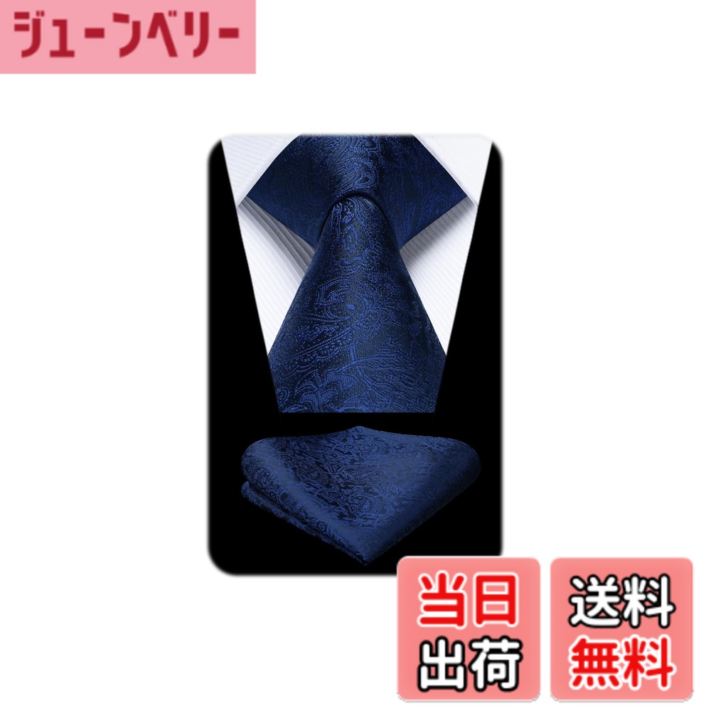 【送料無料】[HISDERN] ペイズリーネクタイ チーフ セット メンズ フォーマル ネクタイ ネイビー ビジネス ブランド プレゼント HP-03