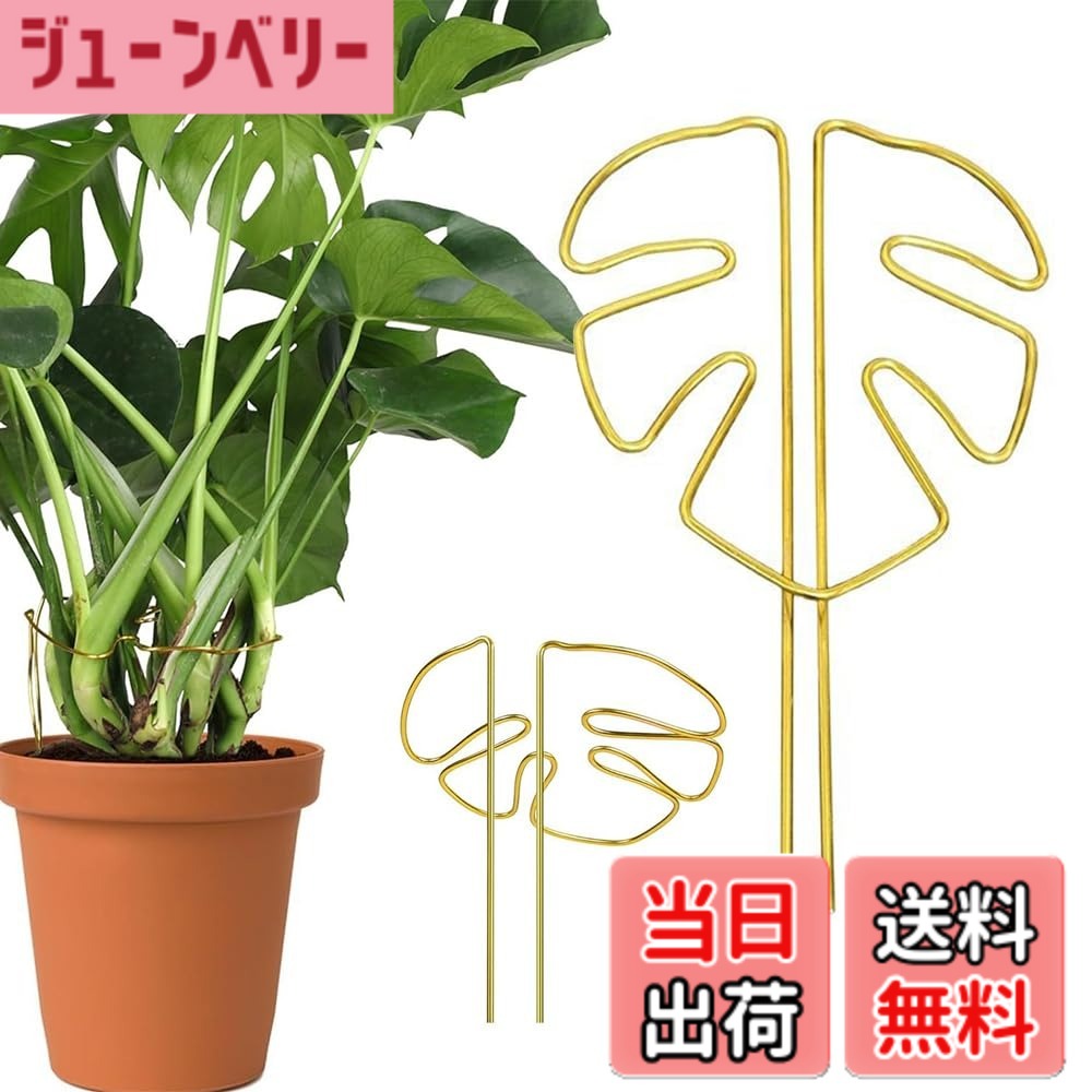商品情報商品の説明商品の説明 テントは高品質合金材料を用いて製造され、表面銅色処理、防腐防錆、抗酸化能力が強く、摩耗しにくく 安全警告 慎重に取り扱ってください。尖った先端で傷つきます。地下の設備を損傷する可能性があります。適切に固定してください。主な仕様 【自然通風】独特な葉形構造は支持と通風機能を巧みに融合させ、植物の枝幹を強固に固定するだけでなく、良好な空気の流通を維持し、どの葉も十分に日光を浴び、植物の健全な成長を助け、光合成を加速させることができることを確保する。【良質合金】ステントは高品質合金材料を用いて製造され、表面銅色処理、防腐防錆、抗酸化能力が強く、摩耗しにくく、長期使用しても光沢と強度を保持でき、実用性と観賞性を兼ね備えている。【構造が安定している】構造設計を強化し、植物の転倒を効果的に防止し、特に藤本類、枝葉が繁茂しているか、大きくて倒れやすい植物の使用に適し、植物の安定した上向き成長を助け、清潔で秩序ある緑植空間を作る。【柔軟な調整】工具を必要とせず、植物の形態に応じて角度とリング構造を自由に調整でき、異なる成長段階とサイズを配合することができ、設置過程は簡単で省力的で、園芸初心者も簡単に手に入れることができる。【多場面応用】多種の観賞植物、花卉及び緑植物、例えば亀背竹、バラ、藤登り類などに適用する。家庭園芸でも農場栽培でも、植物の成長軌跡を効果的に管理し、養生効率と美感を高めることができる。