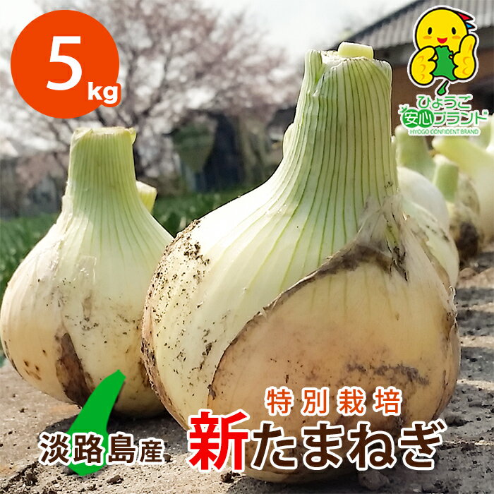 【税込 バラ売り】福岡県産他 万能ねぎ 100g 1袋 (ばんのうねぎ バンノウ）上越フルーツ