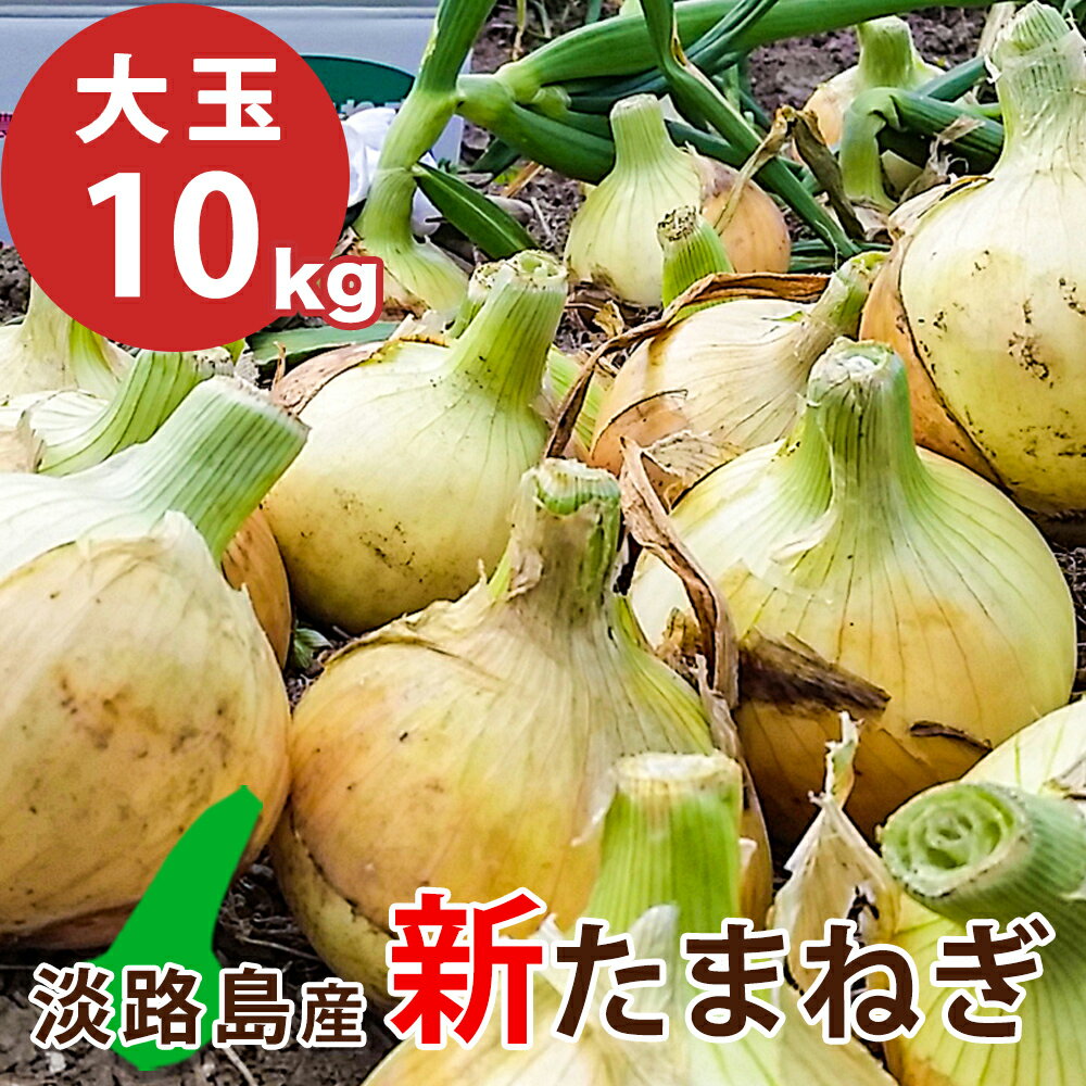 七宝早生【月間優良ショップ受賞店】大玉 新たまねぎ 10キロ 送料無料 新玉ねぎ 淡路島 淡路島産 玉ねぎ たまねぎ 淡路島たまねぎ 淡路島産玉ねぎ 淡路 兵庫県 お取り寄せ 数量限定 新タマネギ お料理好きな方へ 甘くて美味しいタマネギを産地直送 玉葱通販 野菜 タマネギ