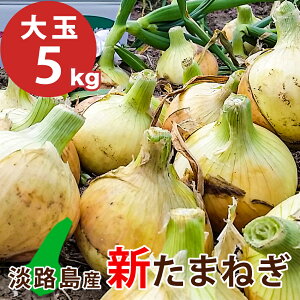 【月間優良ショップ受賞店】大玉 5キロ 新たまねぎ 送料無料 淡路島産 淡路島産玉ねぎ 淡路島たまねぎ 新玉ねぎ 淡路島 淡路 新タマネギ 玉ねぎ たまねぎ 兵庫県 お取り寄せ 数量限定 お料理好きな方へ 甘くて美味しいタマネギを産地直送 玉葱通販 野菜 タマネギ