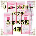 個包装 【リューブゼリーパウチ】 5包×4箱 潤滑剤 ゼリー 女性用 パウチ 潤滑ゼリー 潤い 潤い不足 閉経 分包タイプ 女性 うるおい やさしい 【潤滑 ジェル 女性用 アサヒショップ】おすすめ 安全 小分け 潤滑 ジェル 女性用 じゅんかつざい