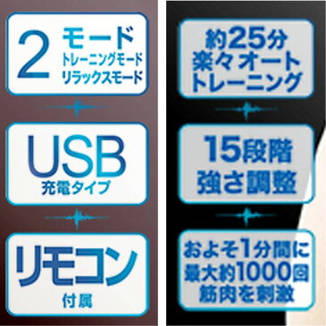 EMS 腹筋 パッド おしり ヒップ エクササイズ 腹筋マシン 腹筋マシーン 顔 ダイエット器具 トレーニング 筋トレ ぶるぶるパッド【アサヒショップ】